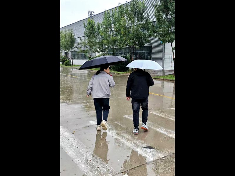 North China NEV vehicle plant - on the way in
